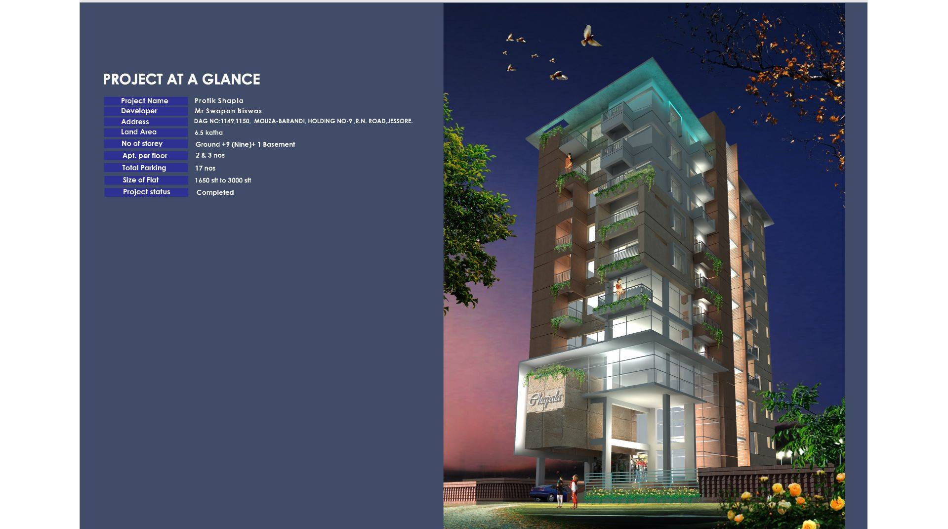 Project image 7