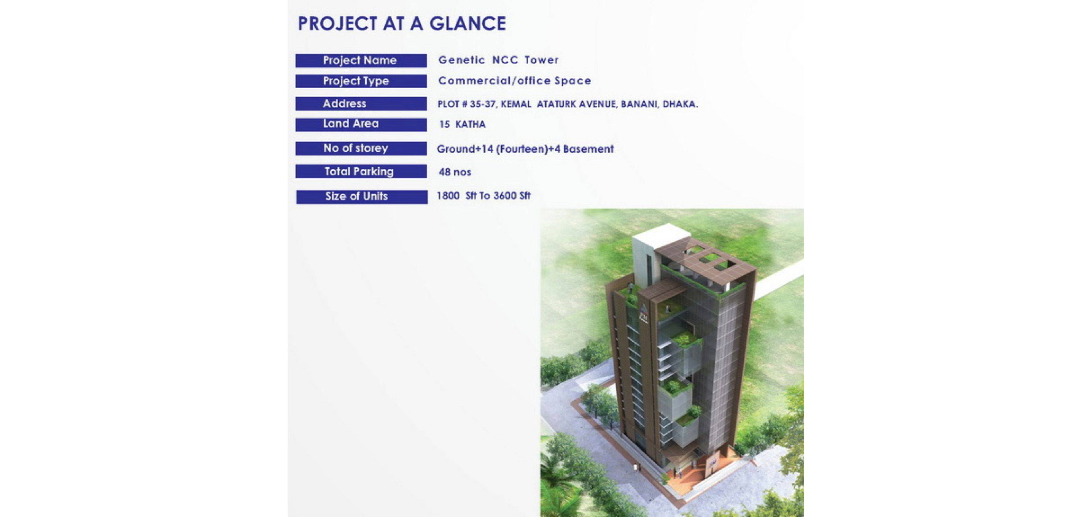 Project image 6