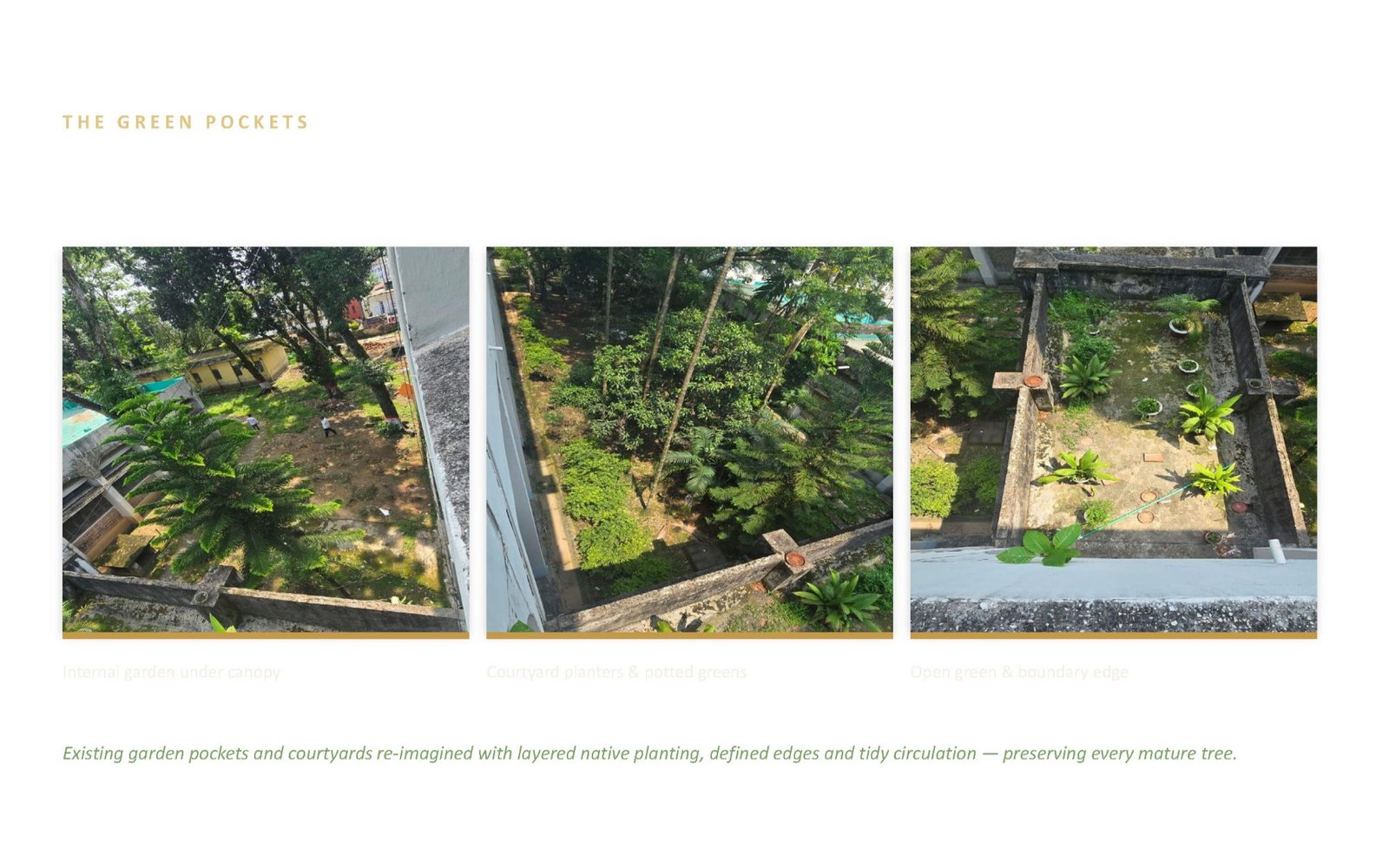 Premises Landscape & Green Master Plan — gallery image 13