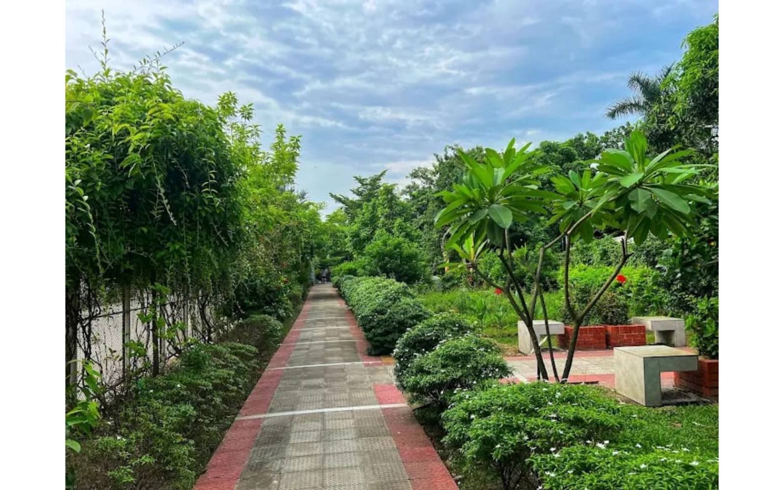 DC PARK MUNSHIGANJ — image 4