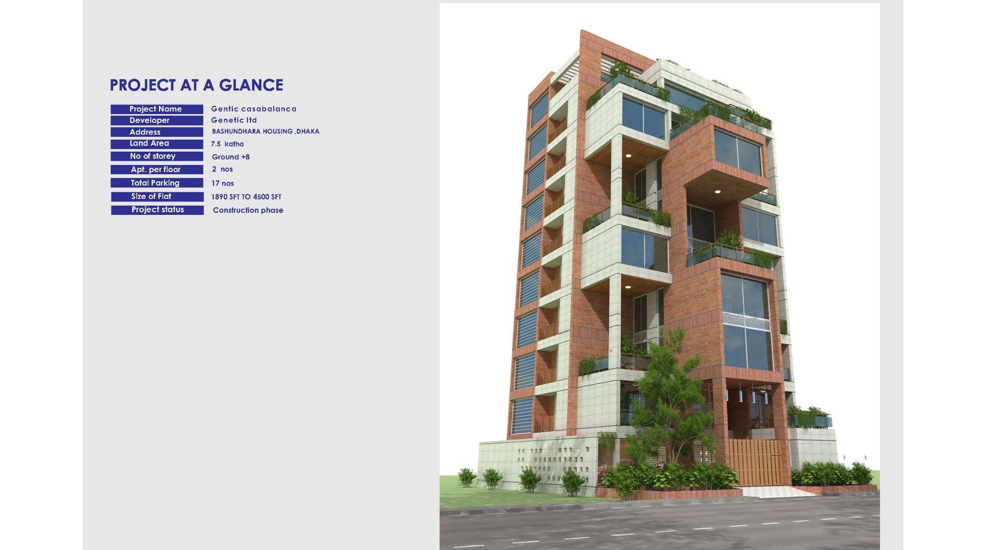 Project image 13