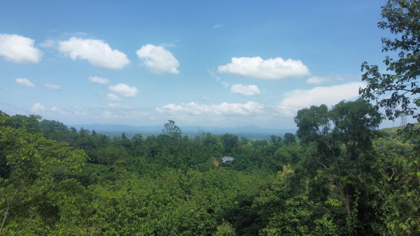 Cloudcrest Resort Valley — gallery image 4